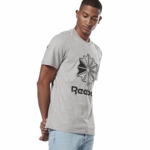 Reebok Classic Big Logo T Shirt Herren - Grau - DE 953-HWD